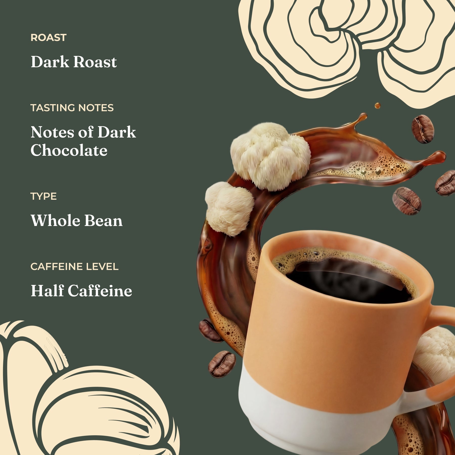 focus-half-caf-whole-bean-coffee-y4 Taste_-_Focus_Half_Caf_Whole_Bean_d1d02c35-db99-498e-ac43-813730db6953.jpg