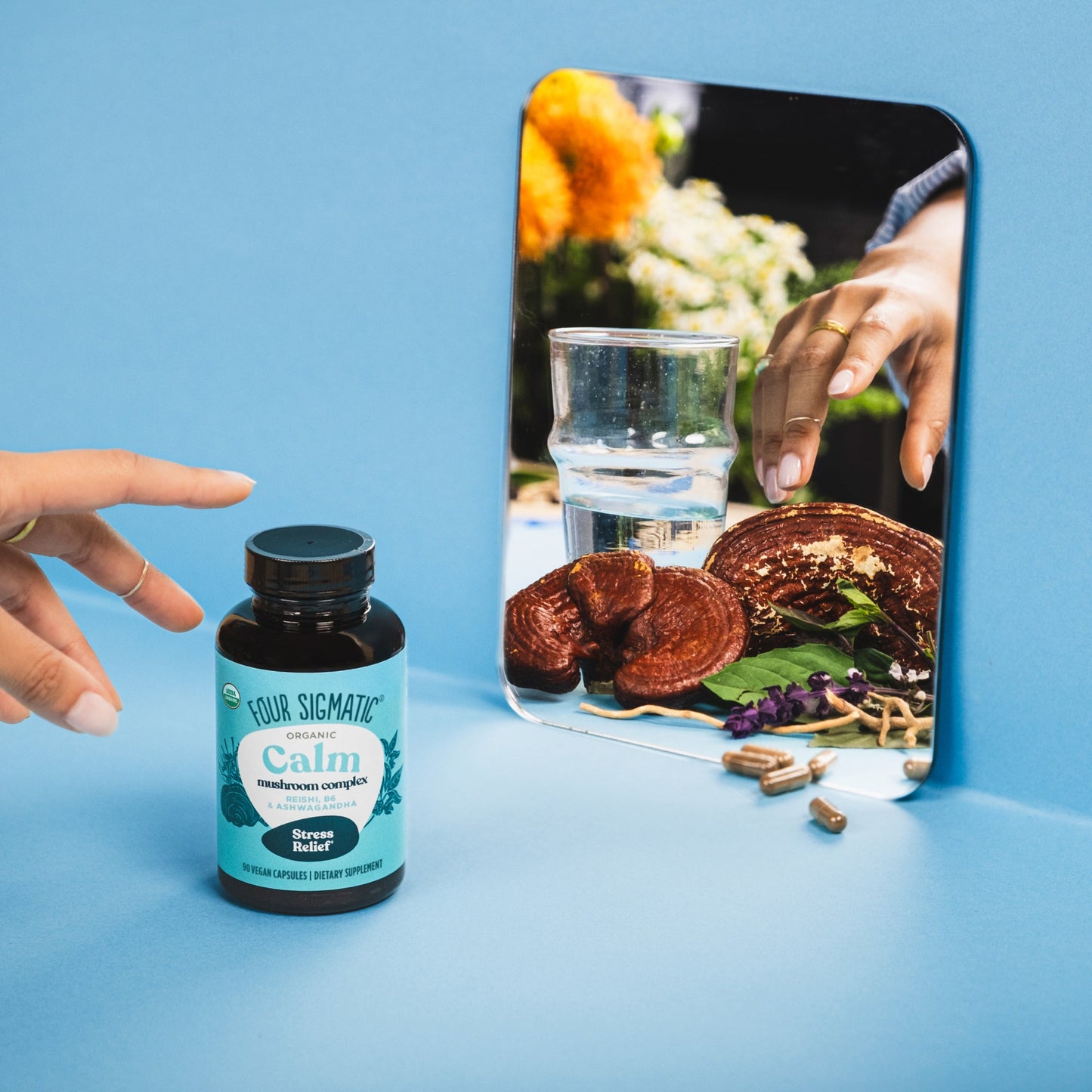 calm-capsules-x3 calm-capsule-1.jpg